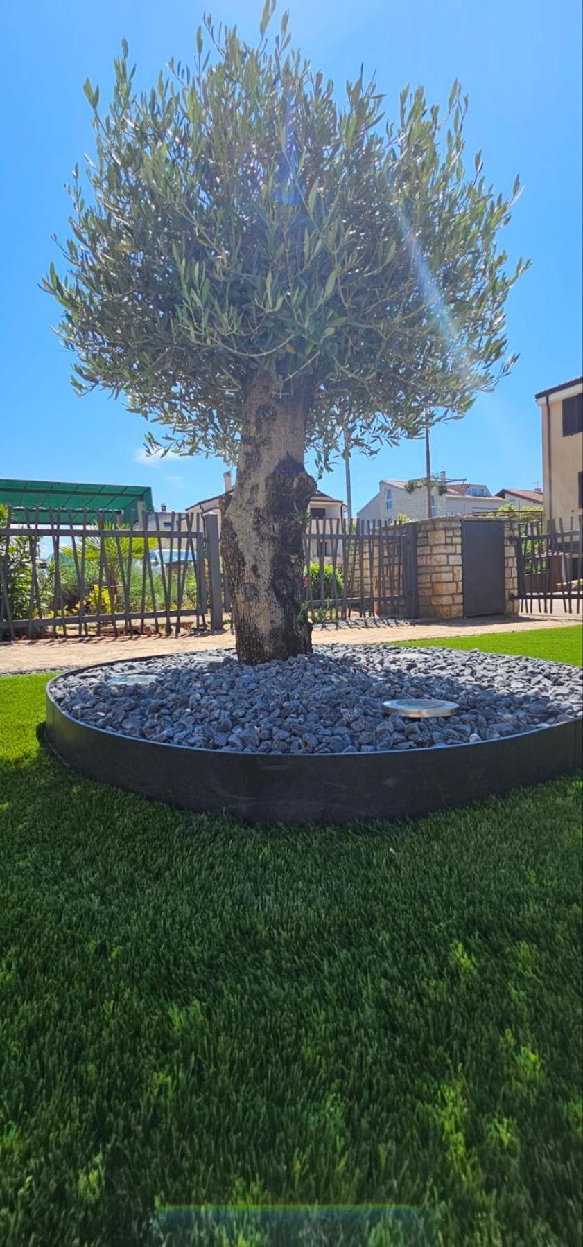 Kadenca Umag Quarto foto